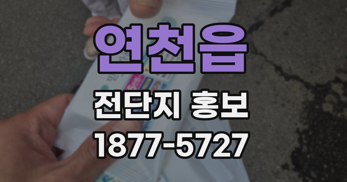 연천읍 전단지 홍보