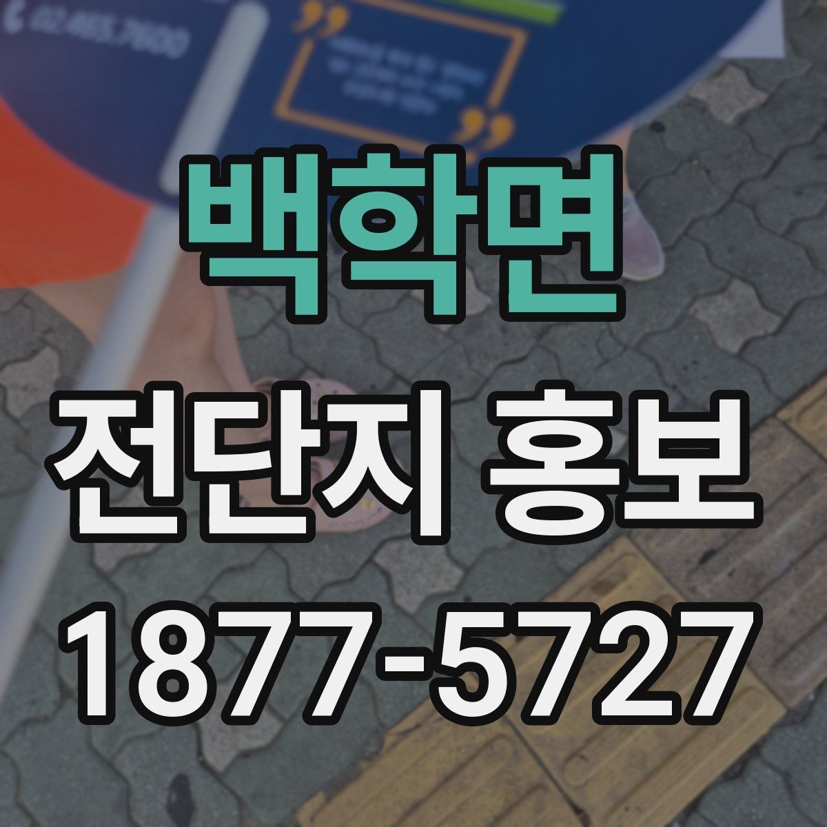 백학면 전단지 홍보