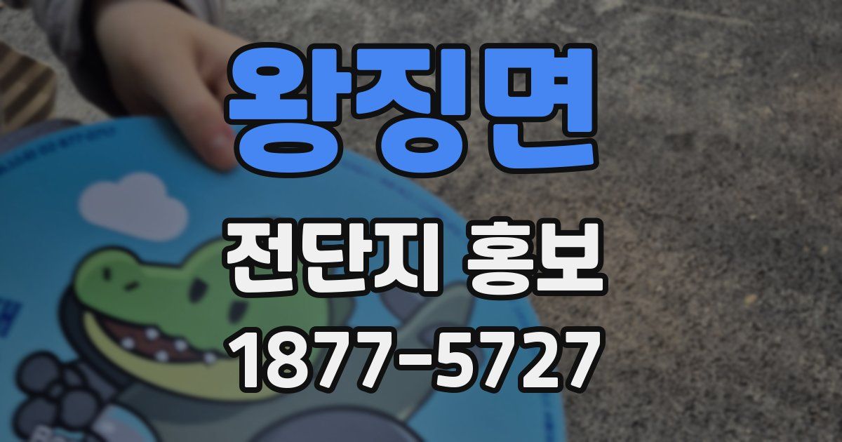 왕징면 전단지 홍보