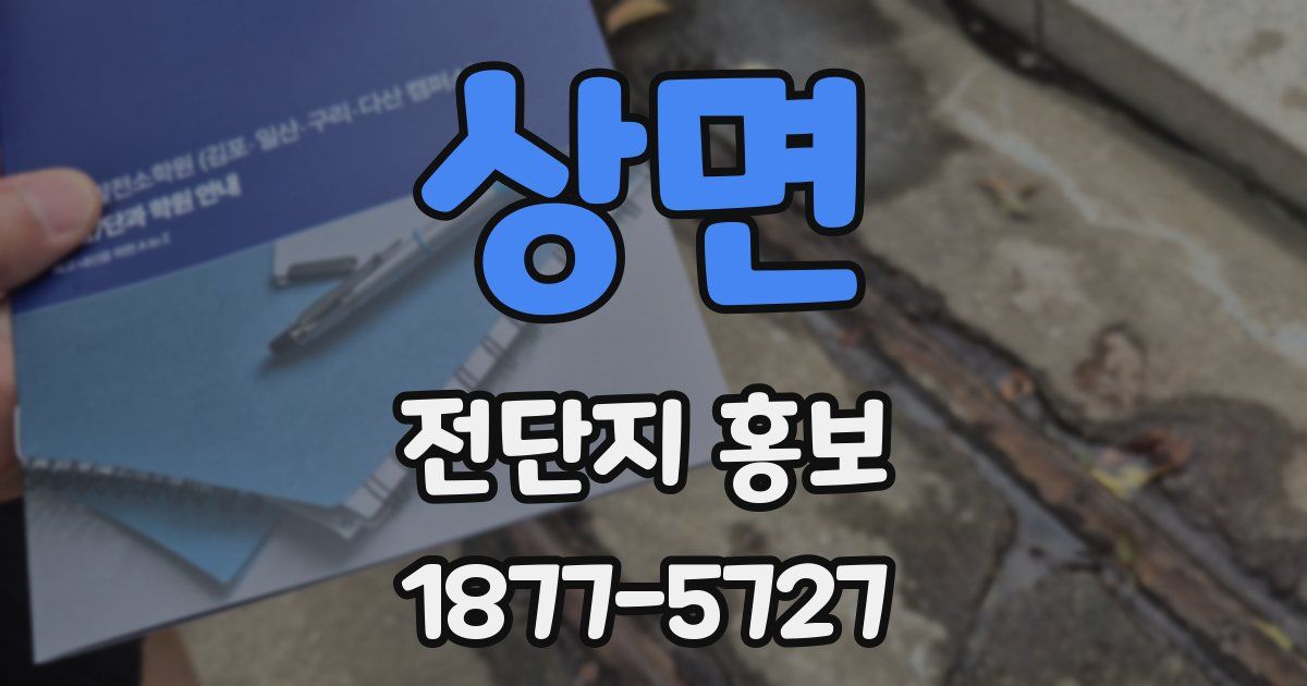 상면 전단지 홍보
