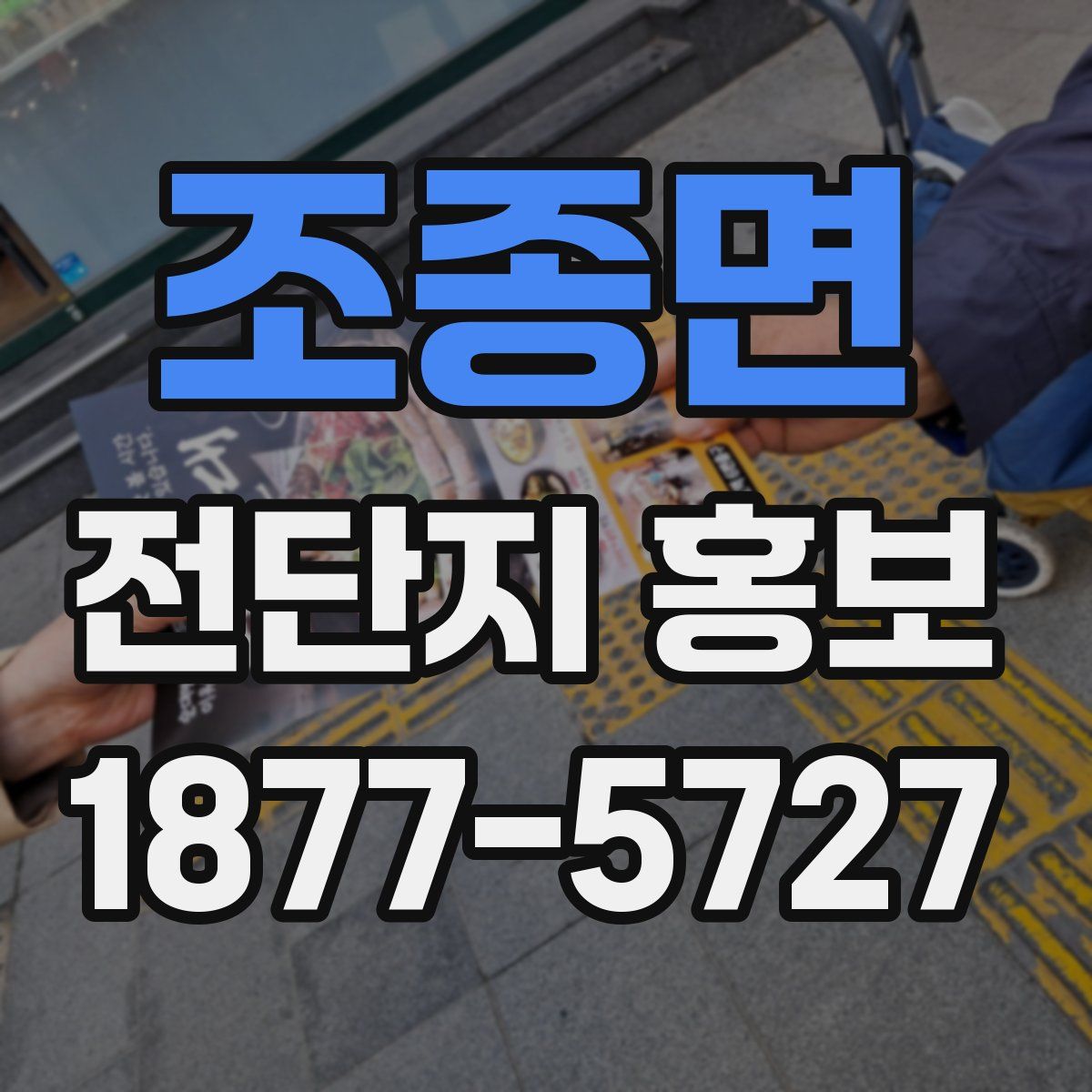 조종면 전단지 홍보