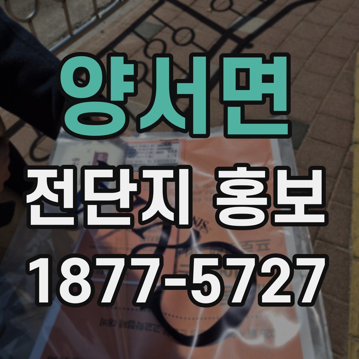양서면 전단지 홍보