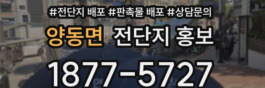 양동면 전단지 홍보