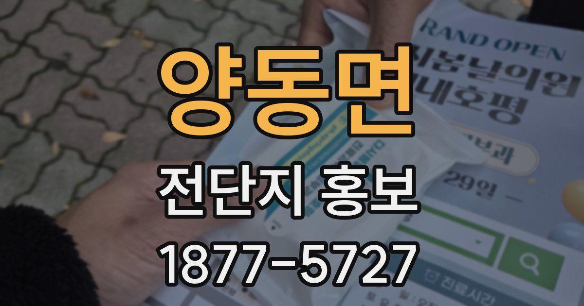 양동면 전단지 홍보