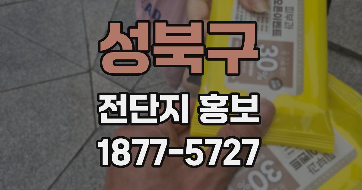 성북구 전단지 홍보
