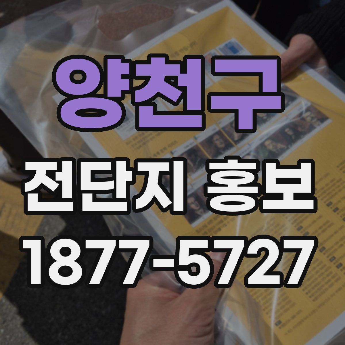 양천구 전단지 홍보