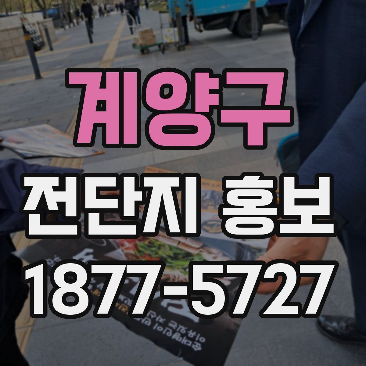계양구 전단지 홍보