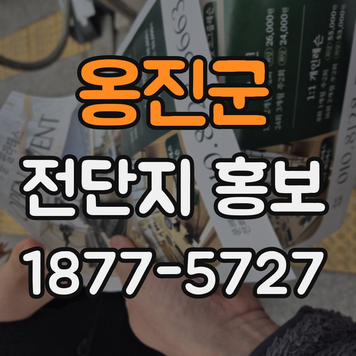 옹진군 전단지 홍보
