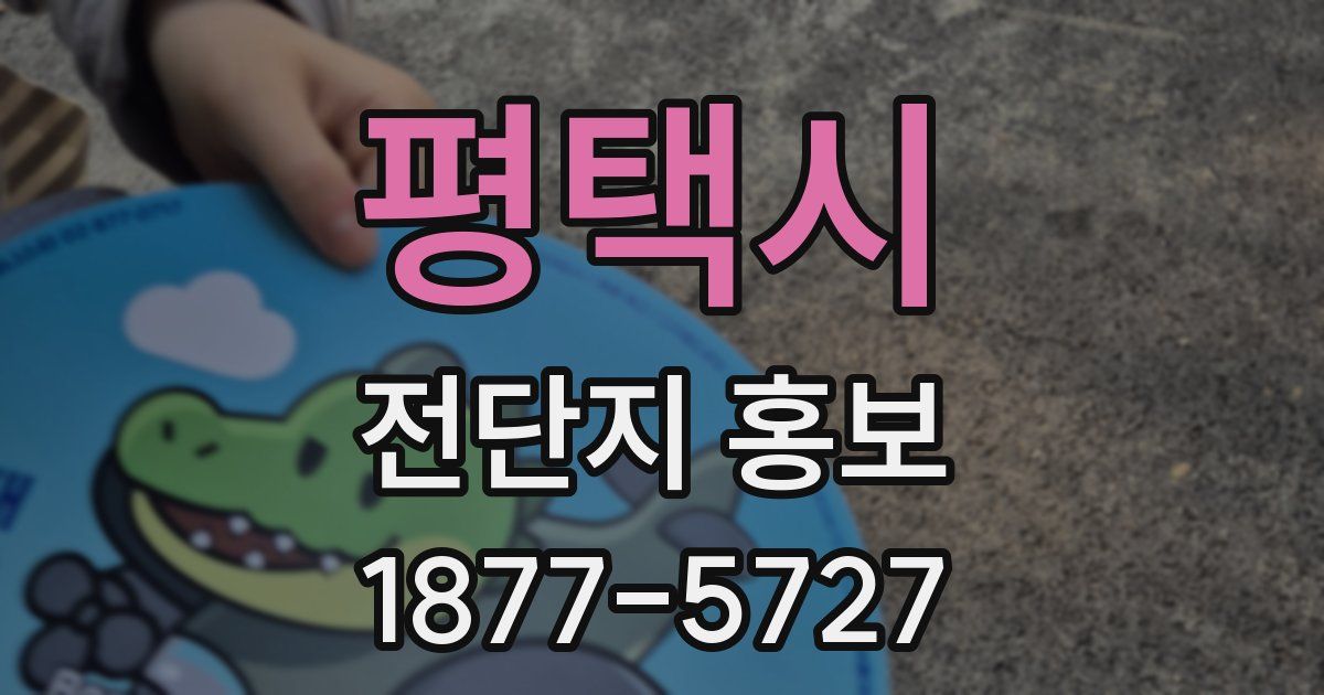 평택시 전단지 홍보