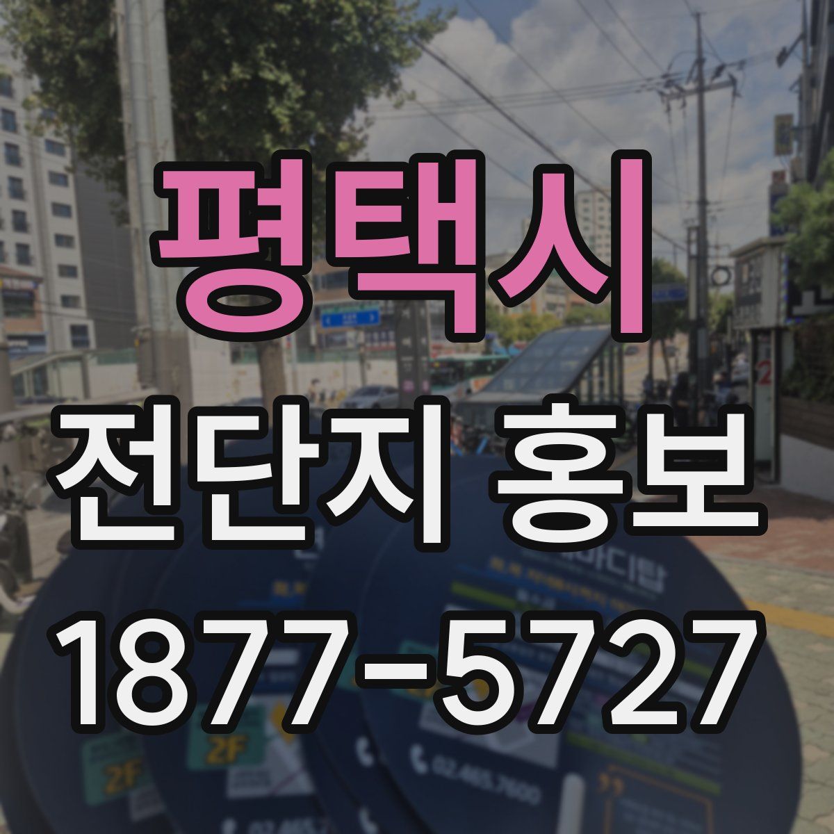 평택시 전단지 홍보