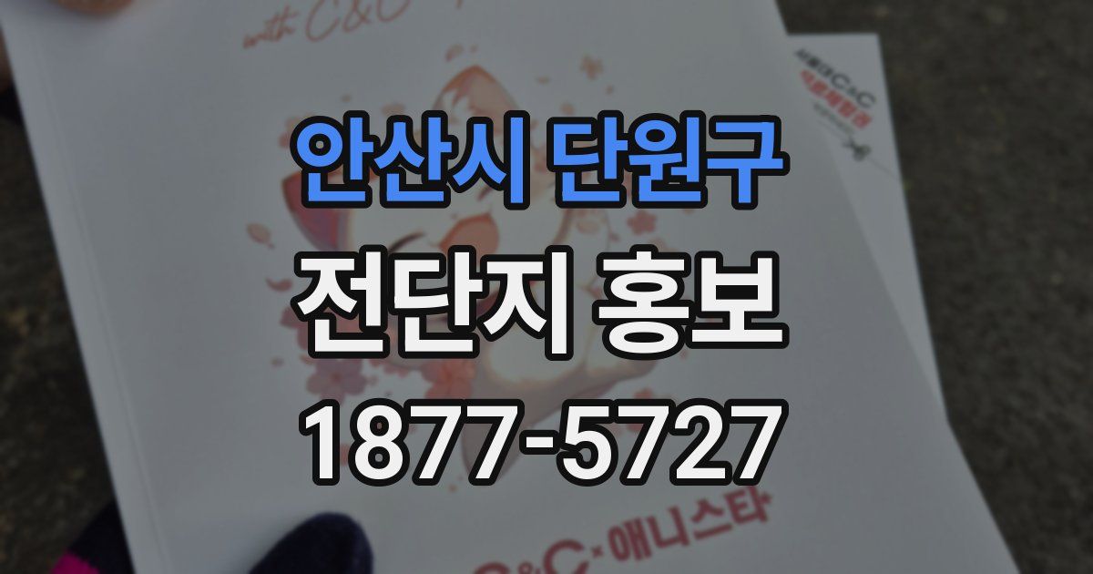 안산시 단원구 전단지 홍보
