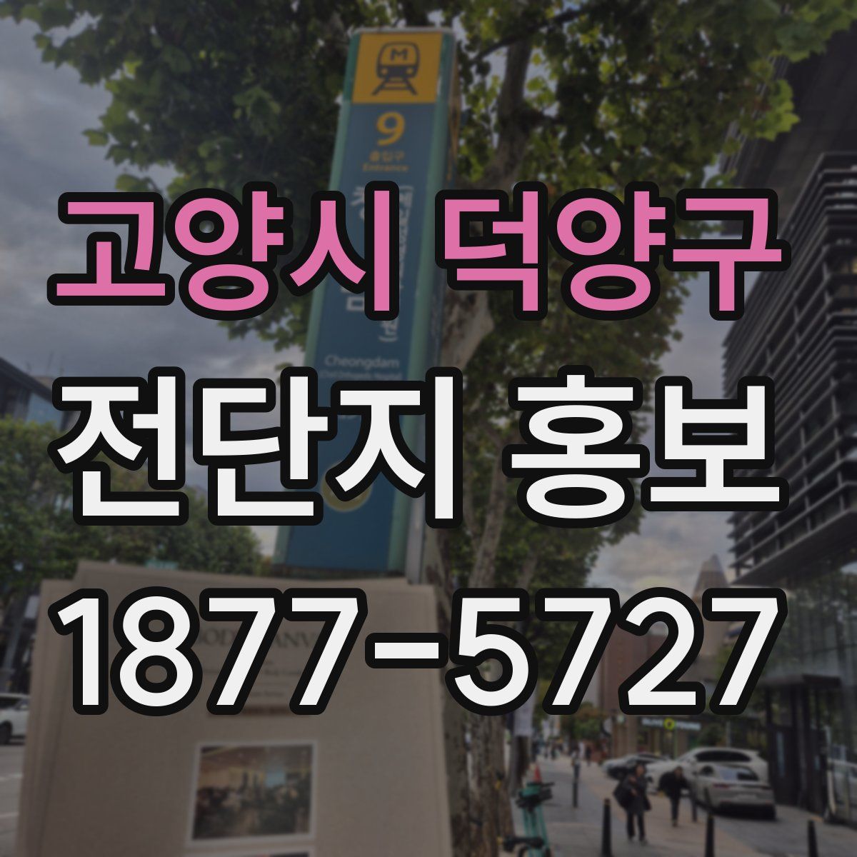 고양시 덕양구 전단지 홍보