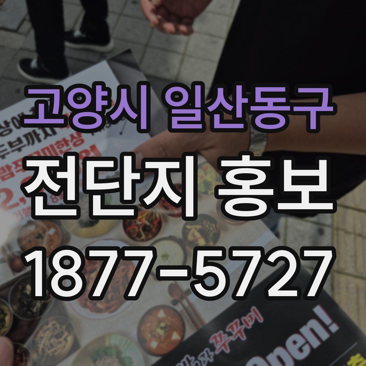 고양시 일산동구 전단지 홍보