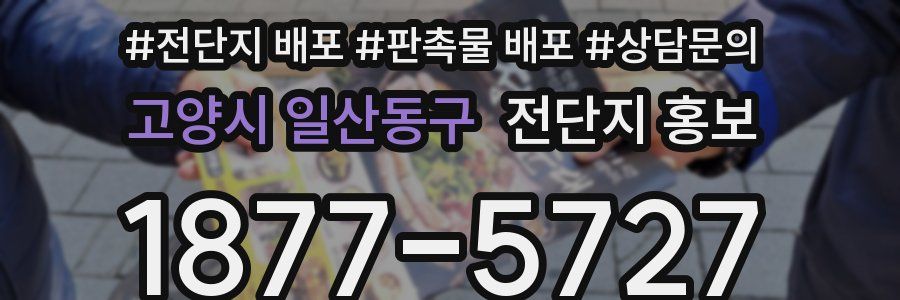 고양시 일산동구 전단지 홍보