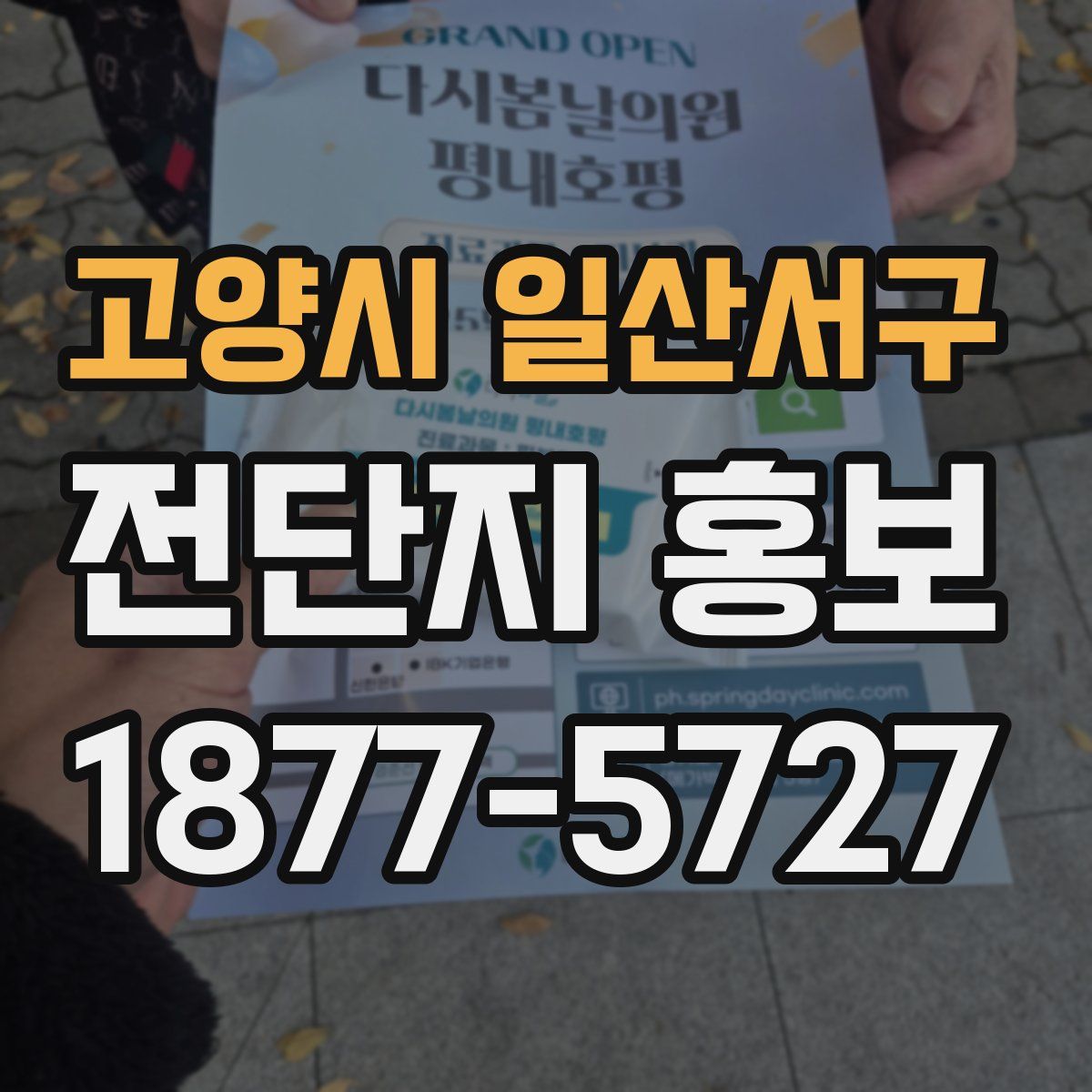 고양시 일산서구 전단지 홍보