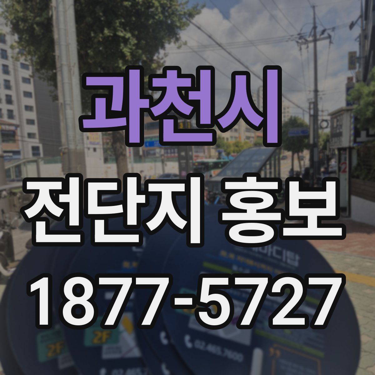 과천시 전단지 홍보