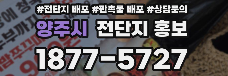 양주시 전단지 홍보