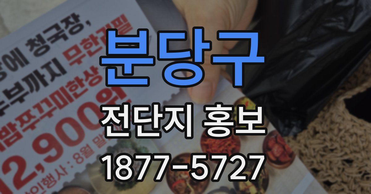 분당구 전단지 홍보