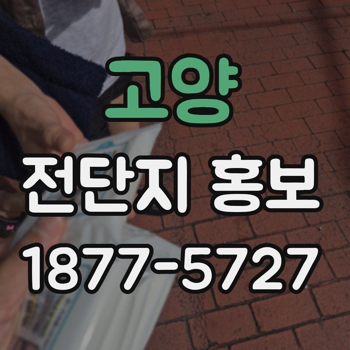 고양 전단지 홍보