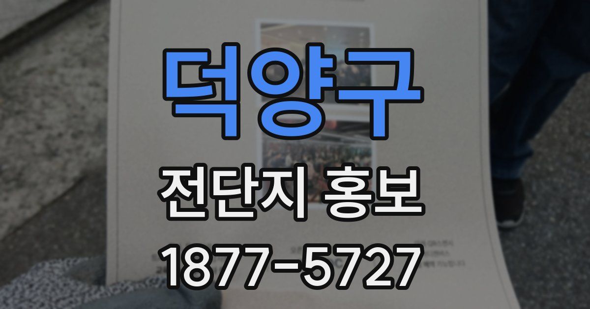 덕양구 전단지 홍보