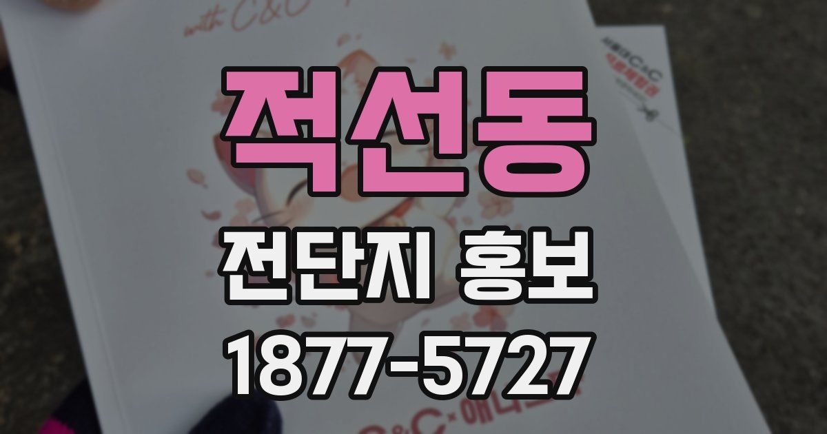 적선동 전단지 홍보