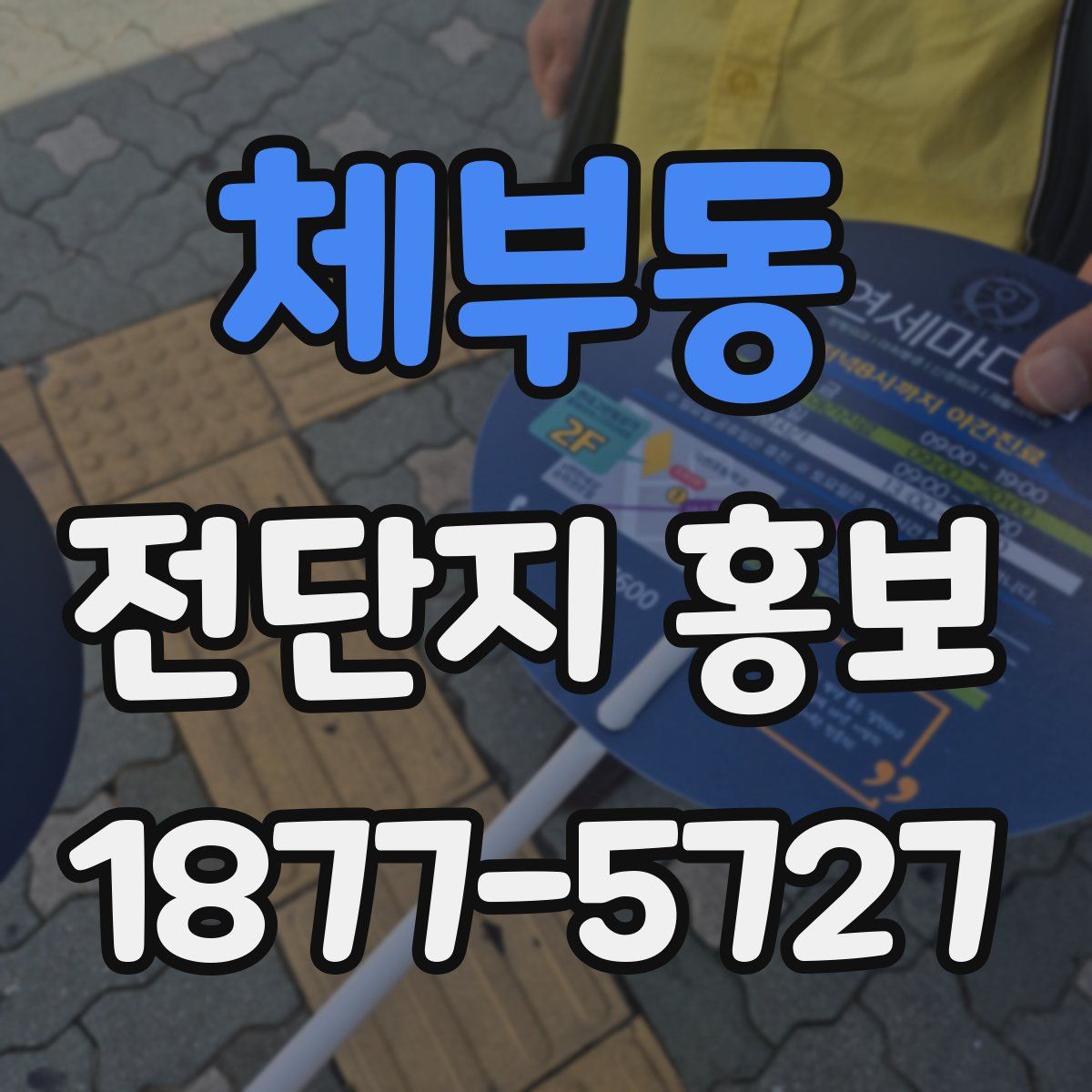 체부동 전단지 홍보