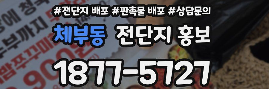 체부동 전단지 홍보