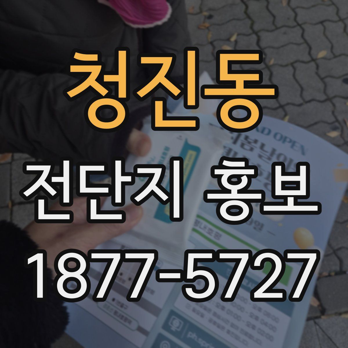 청진동 전단지 홍보