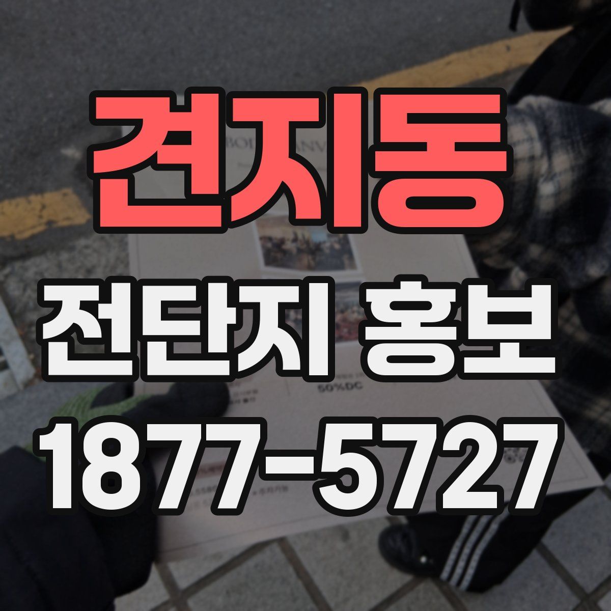 견지동 전단지 홍보