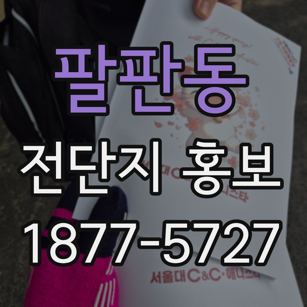 팔판동 전단지 홍보