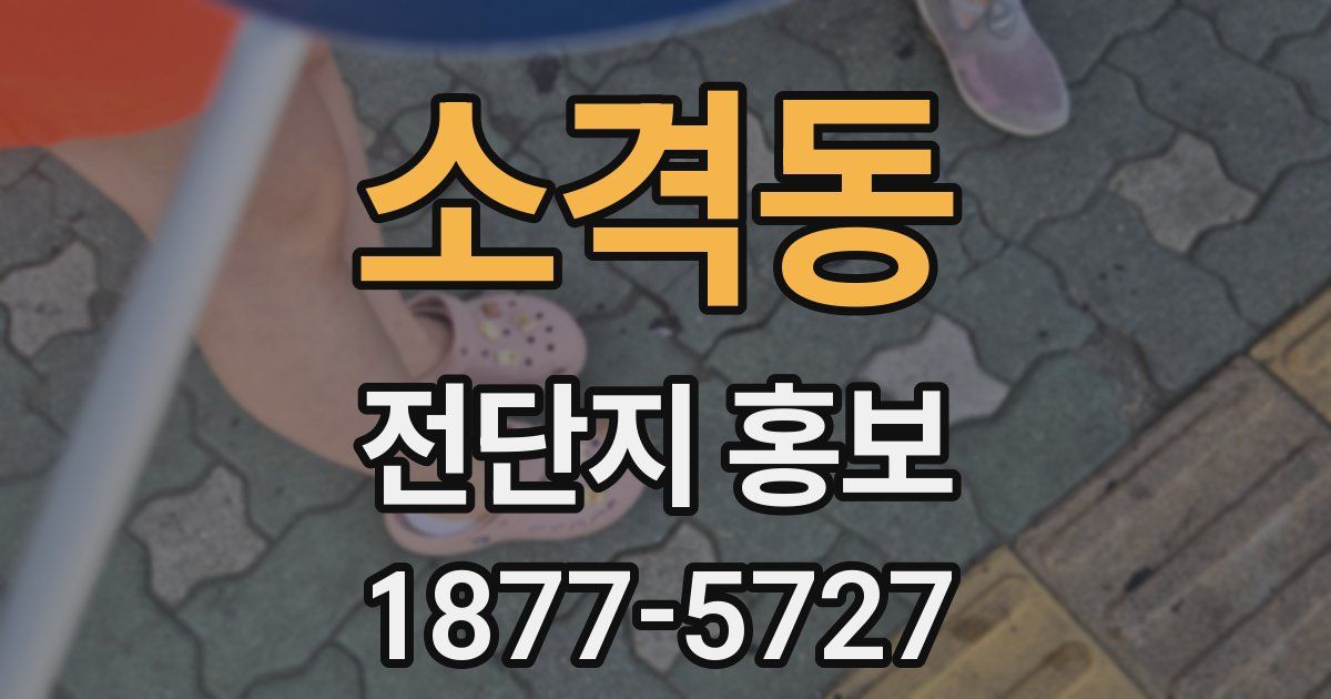 소격동 전단지 홍보