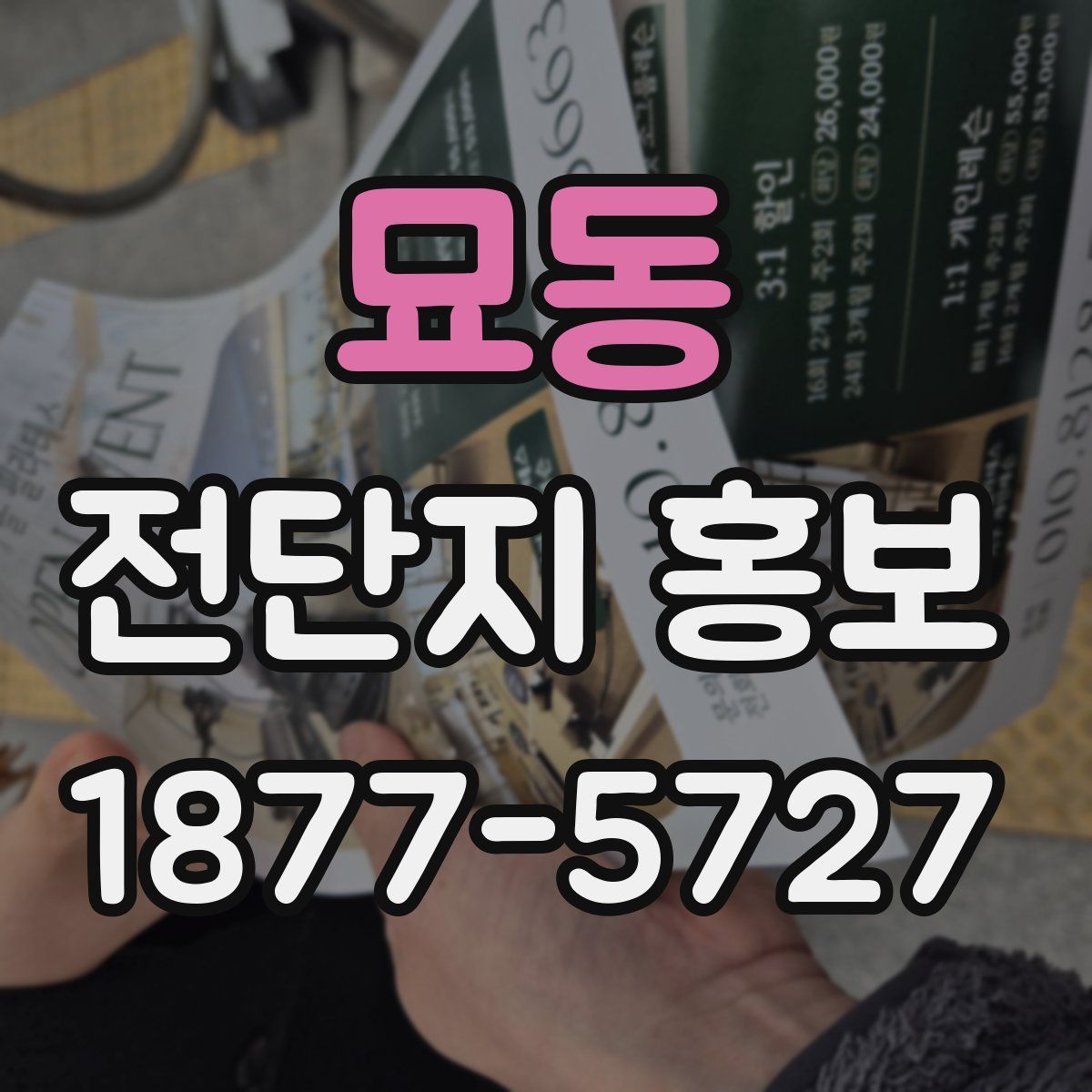 묘동 전단지 홍보