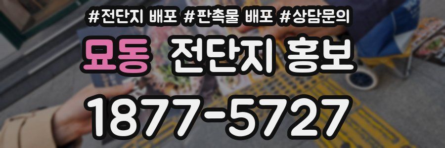 묘동 전단지 홍보
