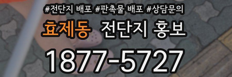 효제동 전단지 홍보