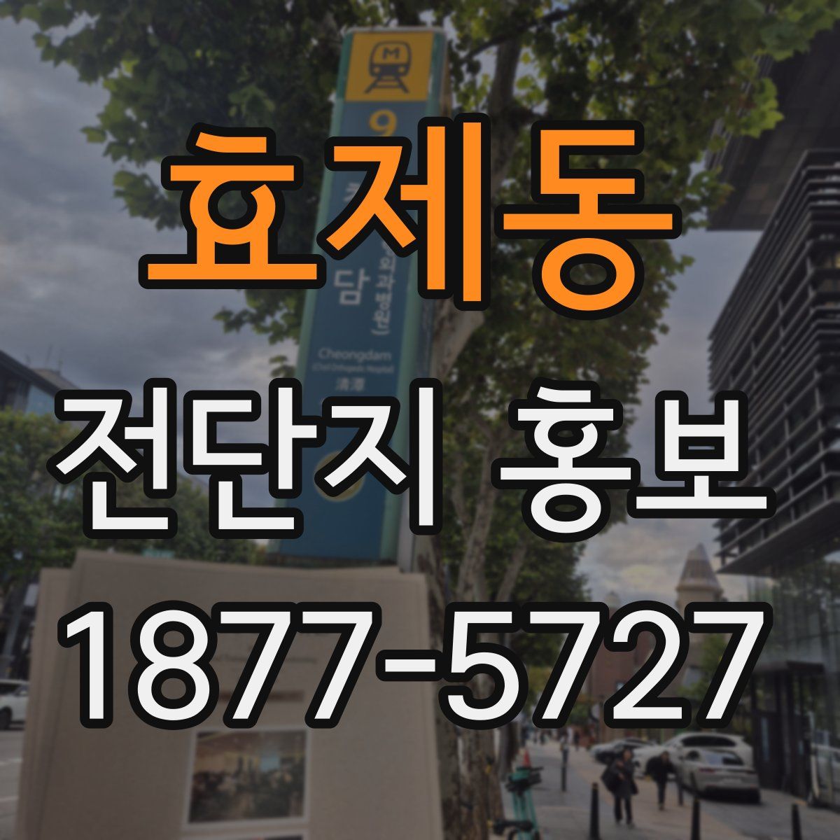 효제동 전단지 홍보