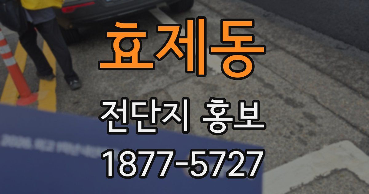 효제동 전단지 홍보
