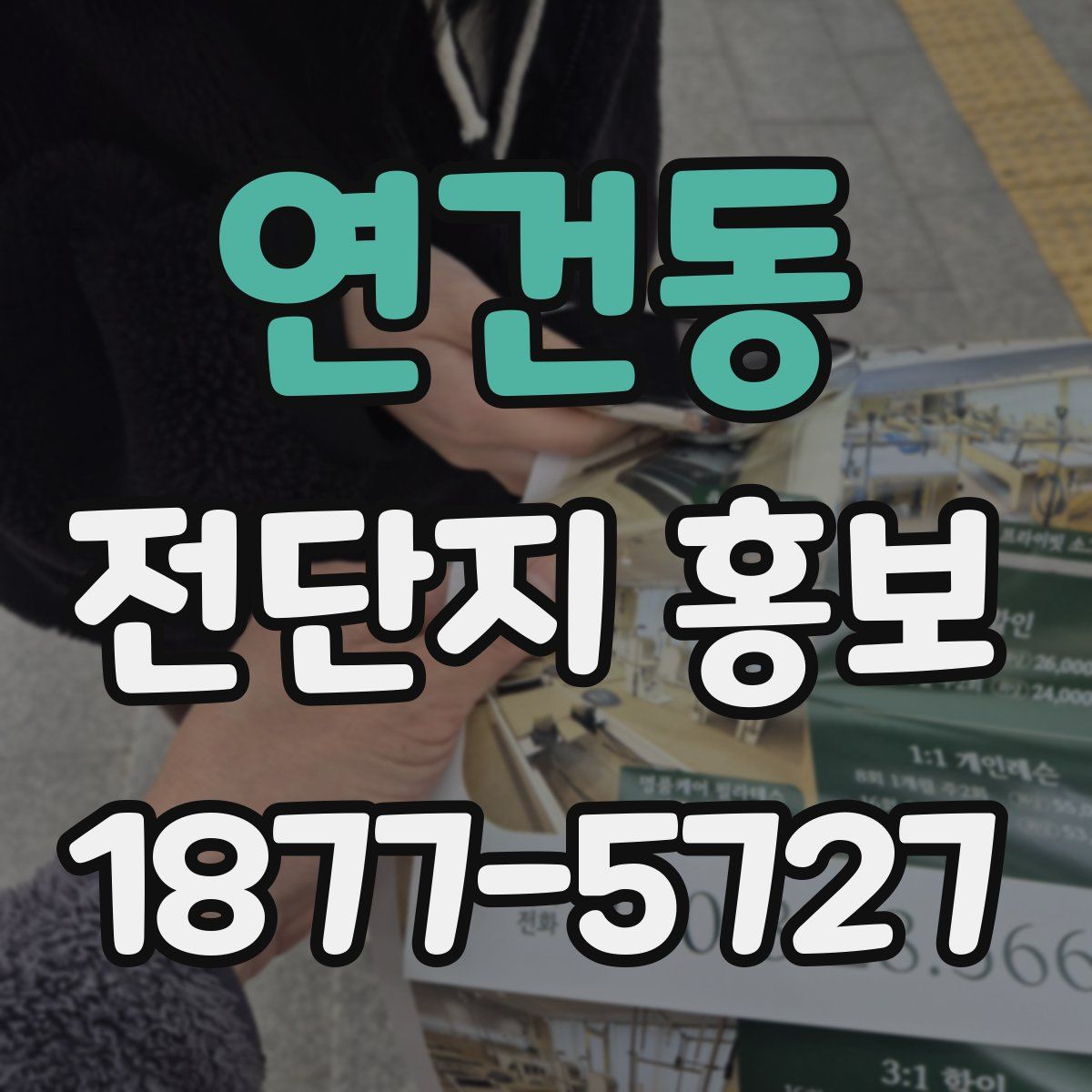 연건동 전단지 홍보