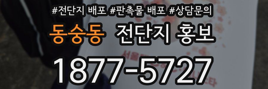 동숭동 전단지 홍보