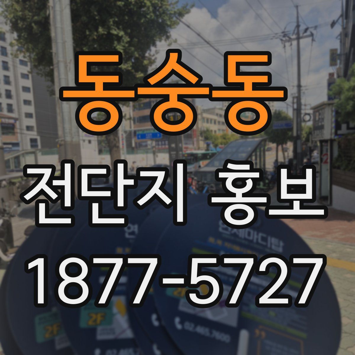 동숭동 전단지 홍보