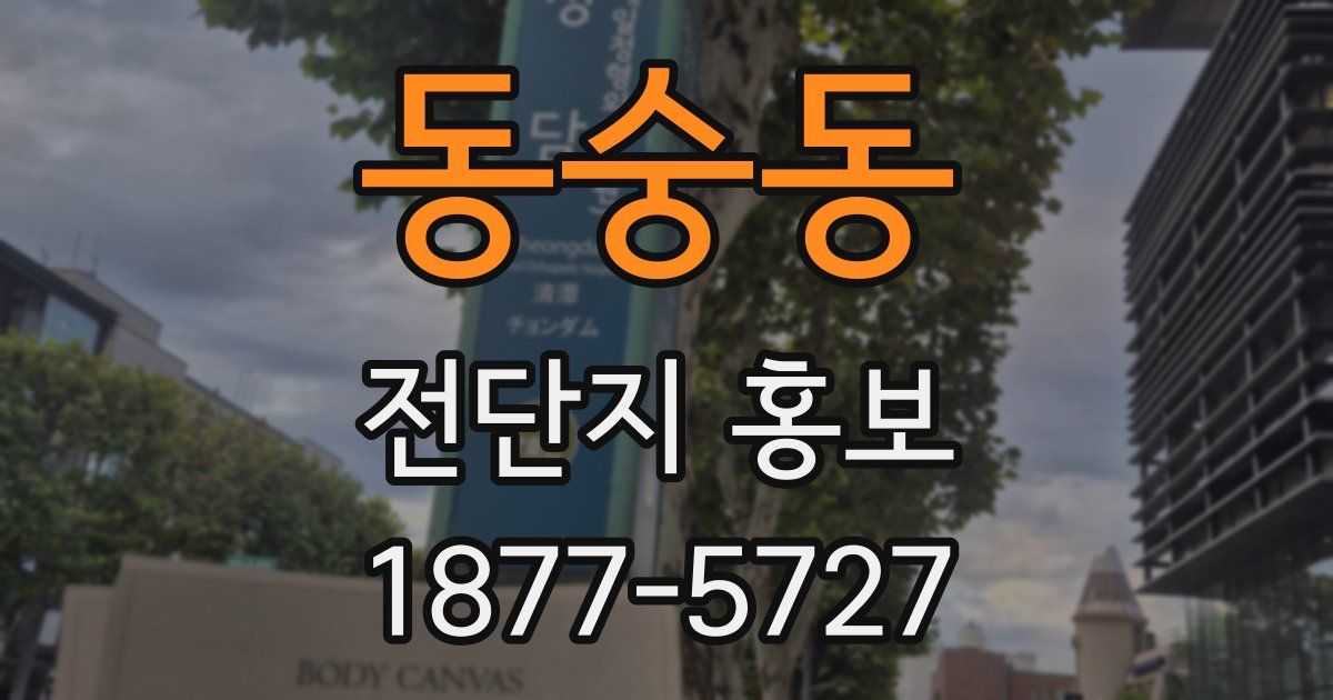 동숭동 전단지 홍보