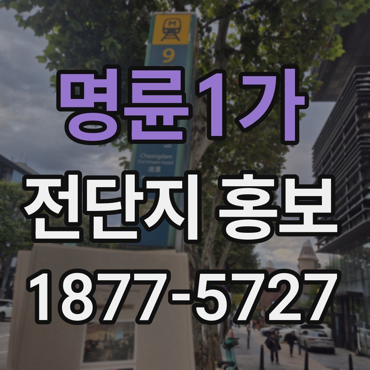 명륜1가 전단지 홍보