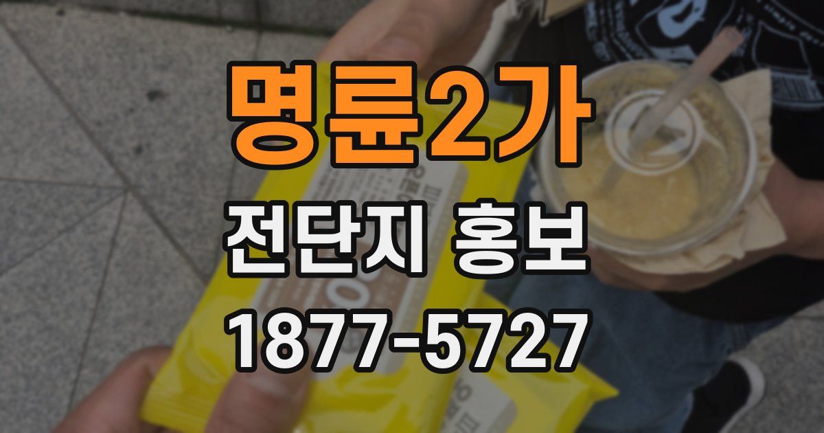 명륜2가 전단지 홍보