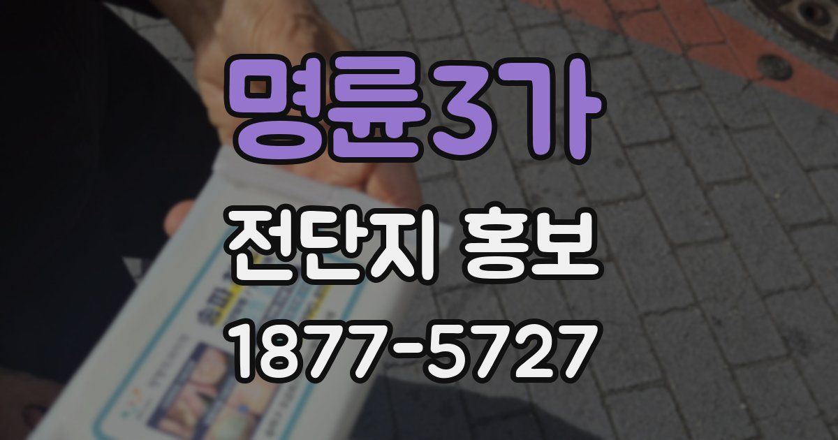 명륜3가 전단지 홍보