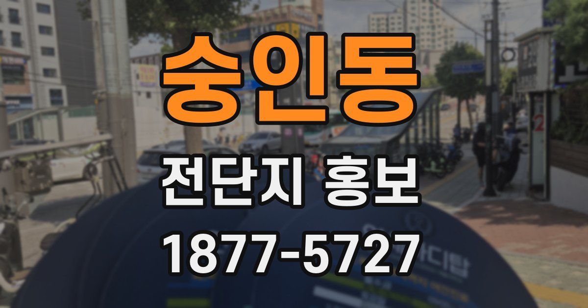 숭인동 전단지 홍보