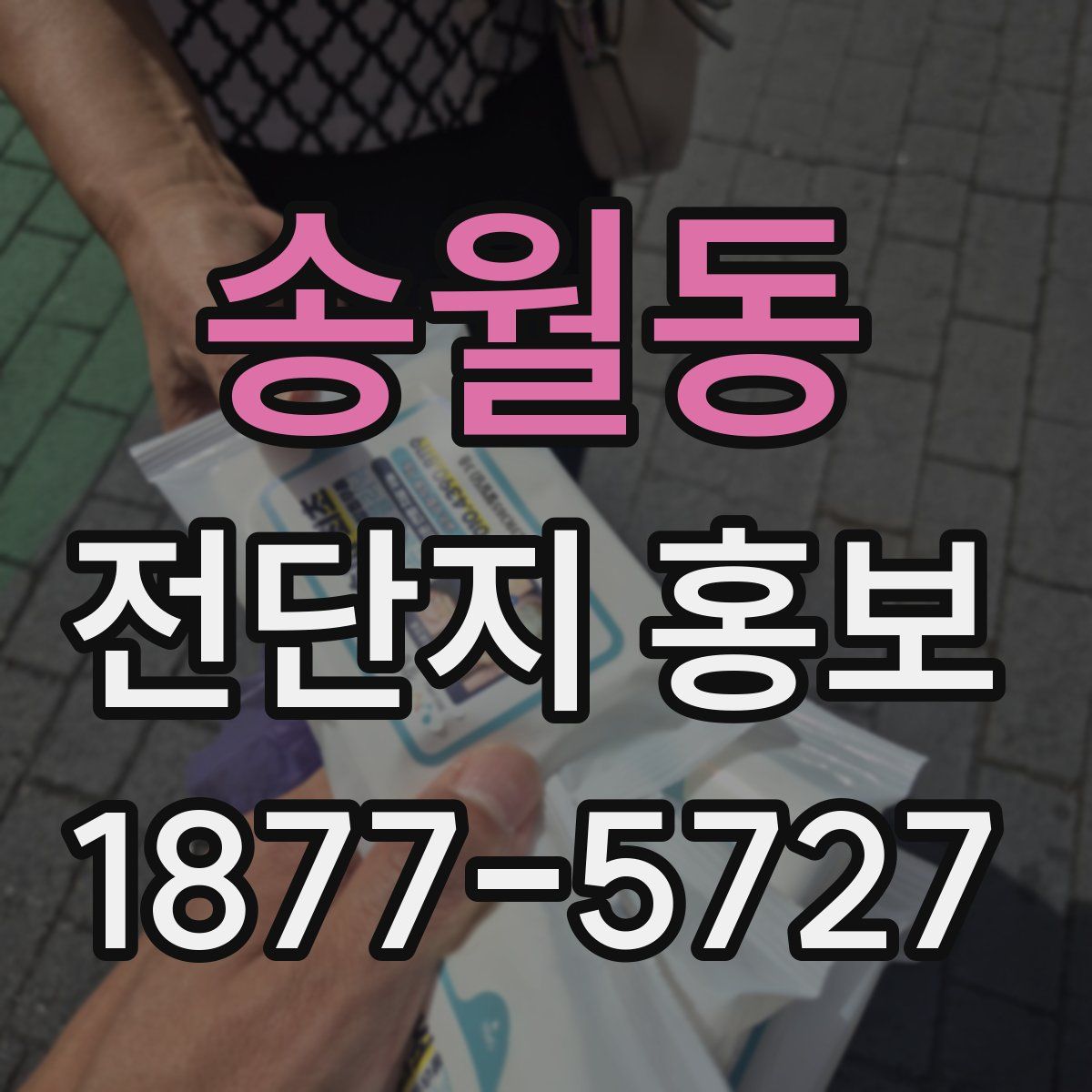 송월동 전단지 홍보