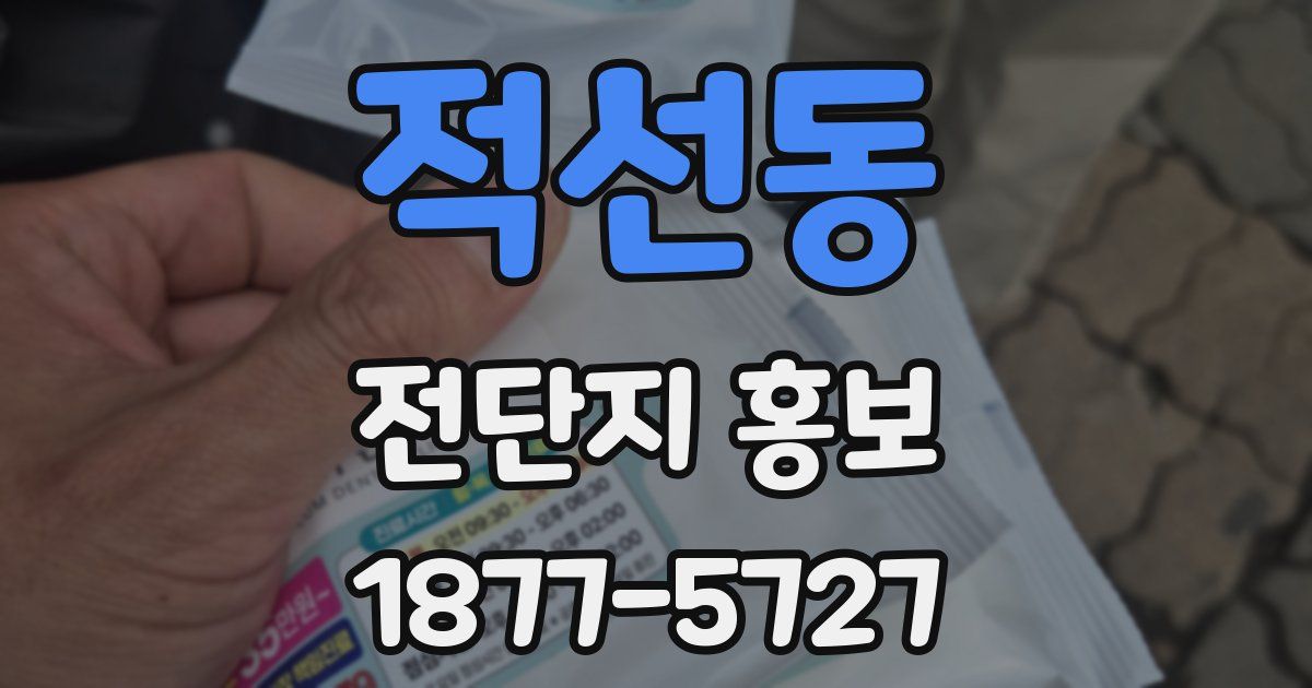 적선동 전단지 홍보