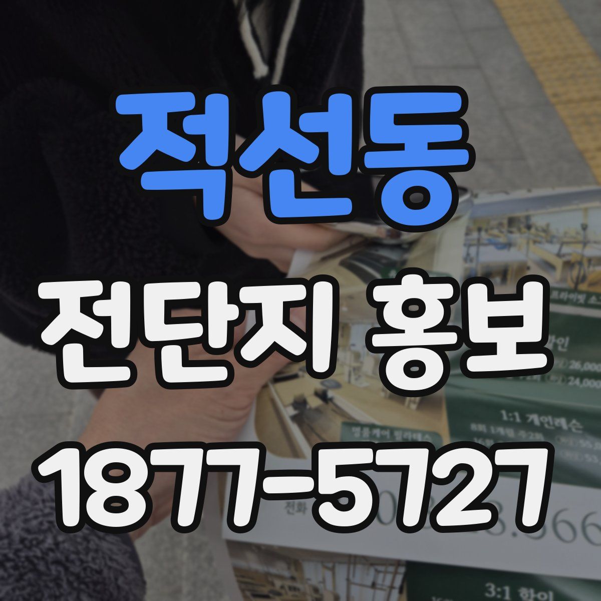 적선동 전단지 홍보
