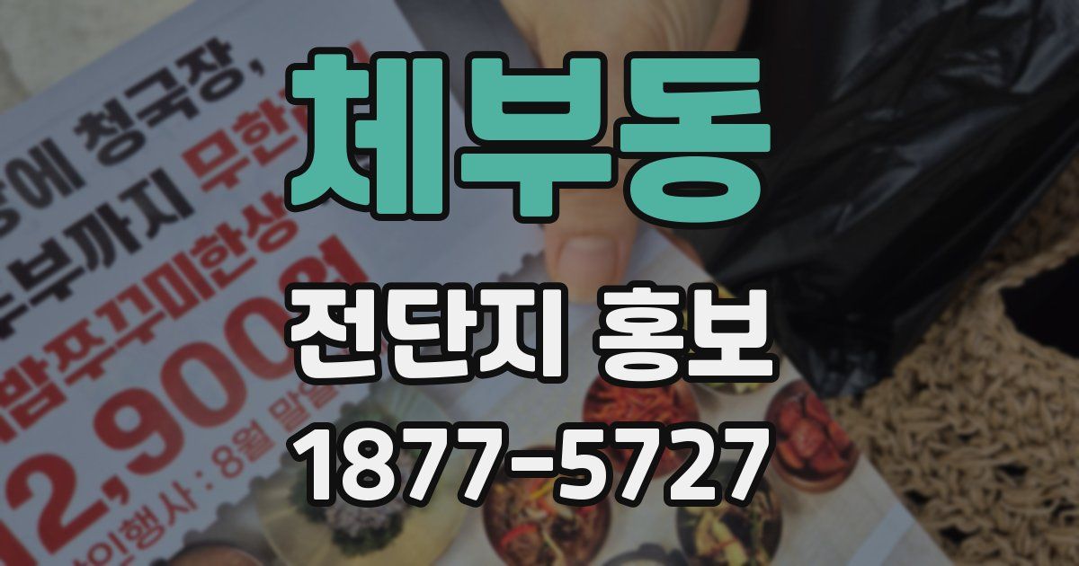 체부동 전단지 홍보