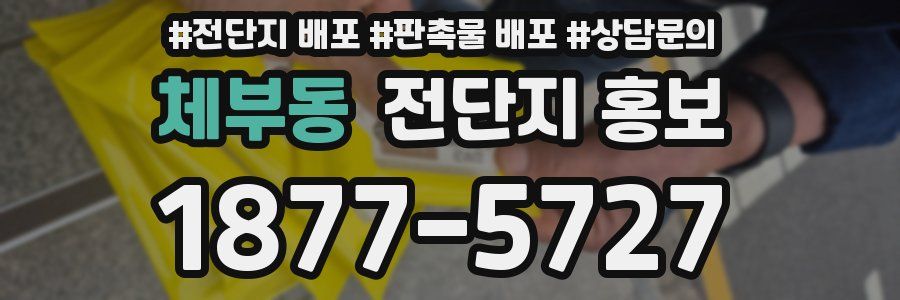 체부동 전단지 홍보