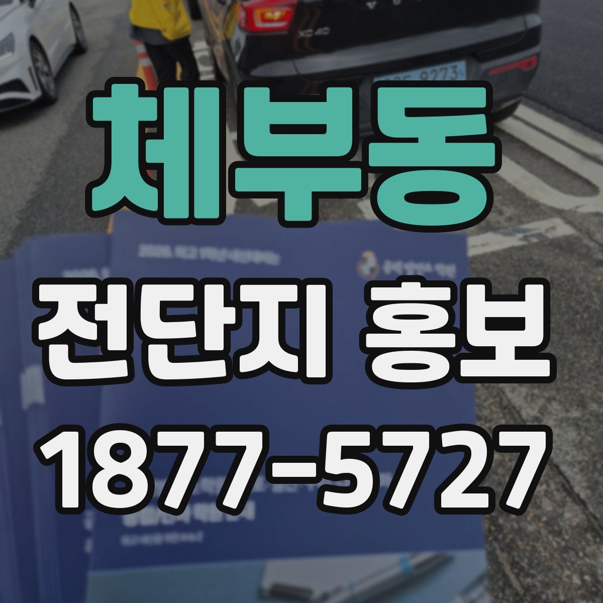 체부동 전단지 홍보